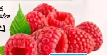 HIT Himbeeren Angebot