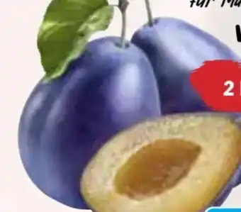 HIT Zwetschgen Angebot