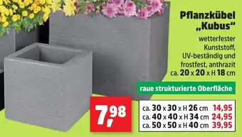 Thomas Philipps Pflanzkübel ,,Kubus" Angebot