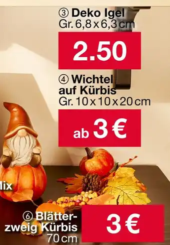 Woolworth Herbstdeko Angebot