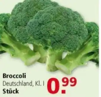 Multi Markt Broccoli Angebot