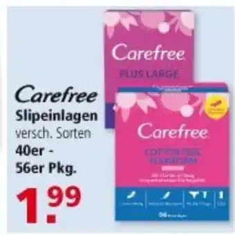 Multi Markt Carefree Slipeinlagen 40er - 56er Pkg. Angebot