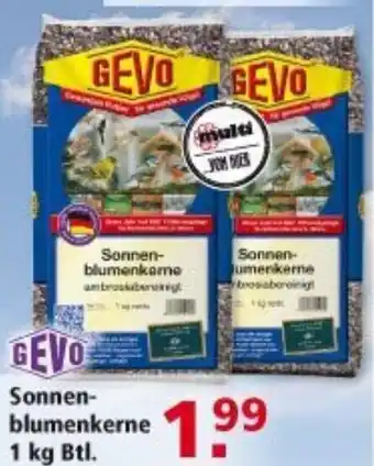 Multi Markt Gevo Sennon-blumenkerne 1 kg btl. Angebot