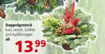 Multi Markt Doppelgesteck Angebot