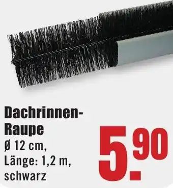 B1 Discount Baumarkt Dachrinnen Raupe Angebot