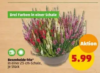 PENNY Besenheide-Trio Angebot
