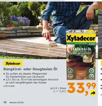 Globus Baumarkt Xyladecor Bangkirai- oder Douglasien Öl Angebot