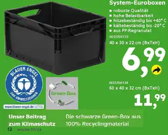 Globus Baumarkt System-Euroboxen Angebot