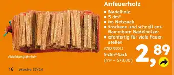 Globus Baumarkt Anfeuerholz Angebot