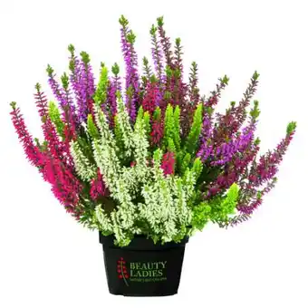 toom Baumarkt Knospenheide High Five Angebot