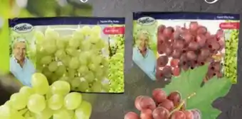 Scheck-in-Center Trauben Angebot