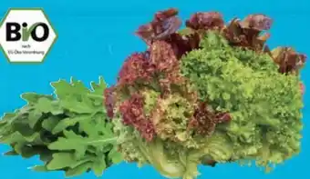 E-Center Bio-Rucola Angebot