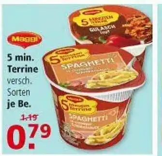 Multi Markt Maggi 5 Min. Terrine Angebot