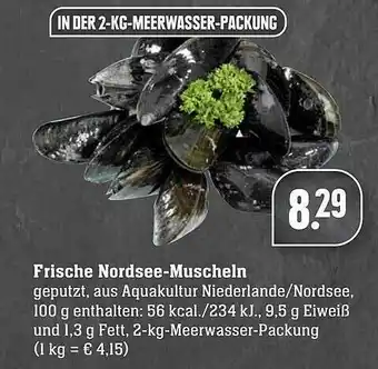 Scheck-in-Center Frische Nordsee-muscheln Angebot