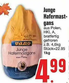 Edeka Junge Hafermastgans Angebot