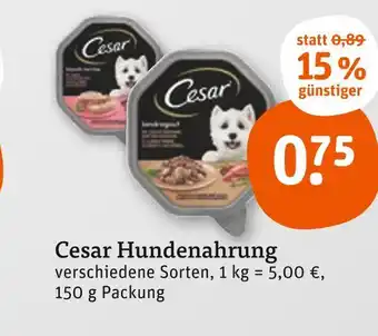 tegut Cesar hundenahrung Angebot