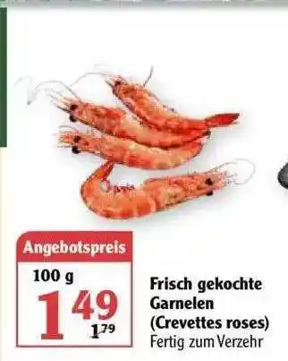 Globus Frisch Gekochte Garnelen Angebot