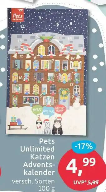Budni Katzen adventskalender Angebot