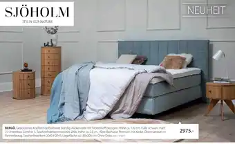 Zurbrüggen Sjöholm bergö Angebot
