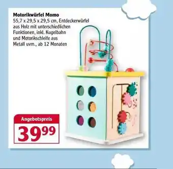 Globus Motorikwürfel Momo Angebot