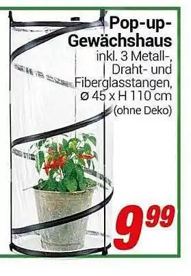 CENTERSHOP Pop Up Gewächshaus Angebot