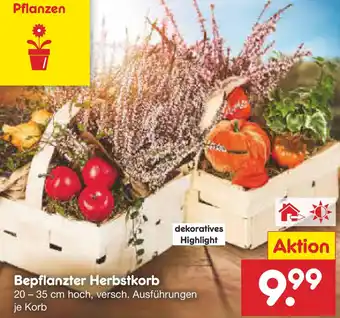Netto Marken-Discount Bepflanzter Herbstkorb Angebot