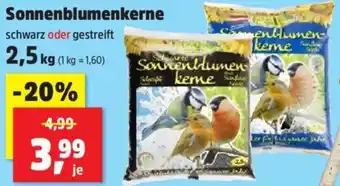 Thomas Philipps Sonnenblumenkerne Angebot