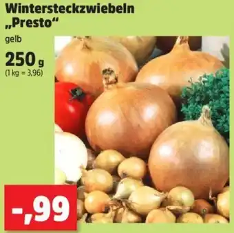 Thomas Philipps Wintersteckzwiebeln ,,Presto" Angebot