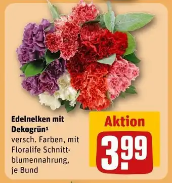 REWE Edelnelken mit dekogrün Angebot