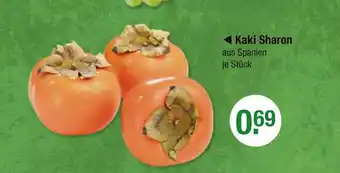 V Markt Kaki sharon Angebot
