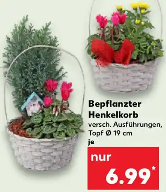 Kaufland Bepflanzter Henkelkorb Angebot