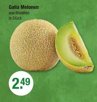 V Markt Galia melonen Angebot