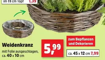 Thomas Philipps Weidenkranz Angebot