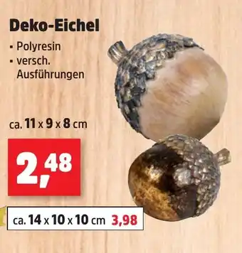 Thomas Philipps Deko-Eichel Angebot
