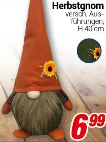 CENTERSHOP Herbstgnom Angebot