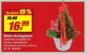 toom Baumarkt Winter Arrangement Angebot