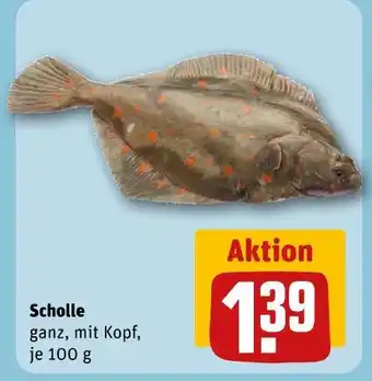 REWE Scholle Angebot
