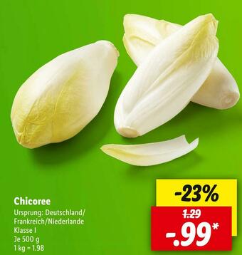 Lidl Chicoree Angebot