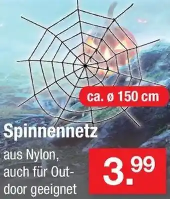 Zimmermann Spinnennetz Angebot