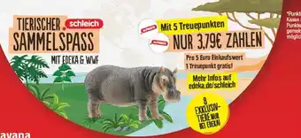 E-Center Schleich tierischer sammelspass Angebot