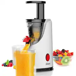 Netto Marken-Discount Zilan Entsafter Slow Juicer Saftpresse Edelstahlklinge 600ml 200W Angebot