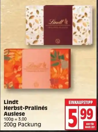 Edeka Lindt Herbst Pralinés Auslese 200 g Angebot