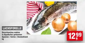 Handelshof LACHSFORELLE Angebot