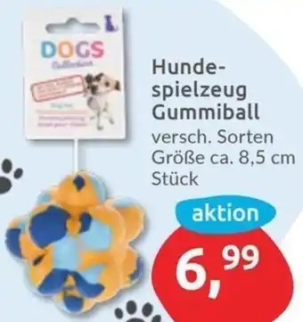 Budni Hundespielzeug Gummiball Angebot