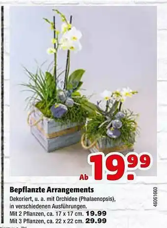 Hagebau Bepflanzte Arrangements Angebot