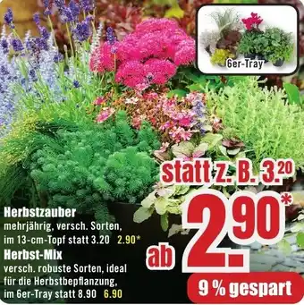 B1 Discount Baumarkt Herbstzauber Angebot