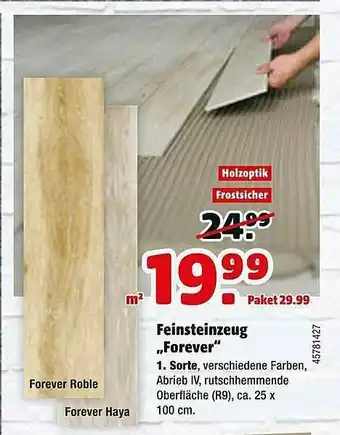 Hagebau Feinsteinzeug „forever” Angebot