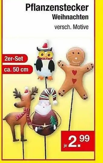 Zimmermann Pflanzenstecker Weihnachten Angebot