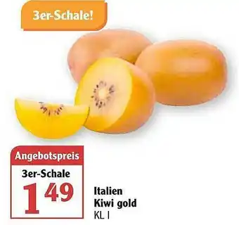 Globus Italien Kiwi Gold Angebot