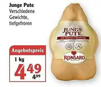 Globus Junge Pute Angebot